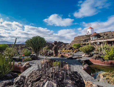 Jardín de Cactus con molino al fondo