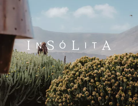 Insólita_Jardín de cactus